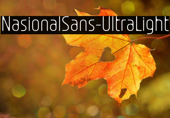 NasionalSans-UltraLight Example 2