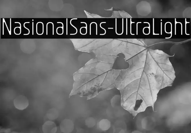 NasionalSans-UltraLight Example 2