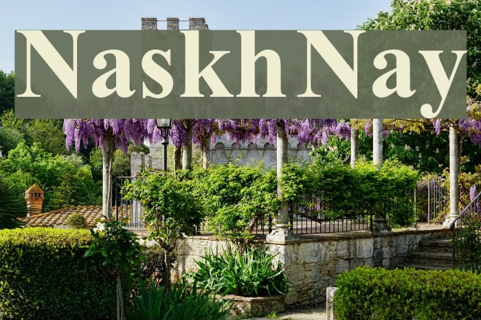 Naskh Nay Font examples