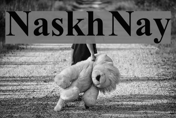 Naskh Nay Font examples