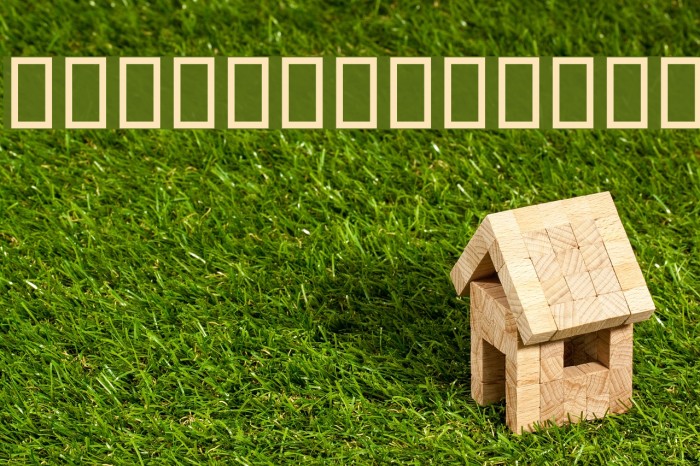 Naskh Plain Example 3