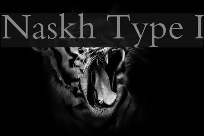 Naskh Type I Font examples