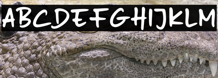 Naspad Everyday Example 1