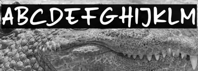 Naspad Everyday Polices examples