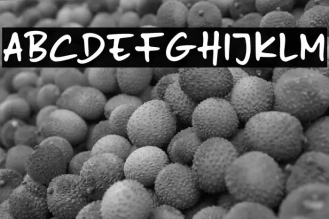 Naspad Everyday Polices examples