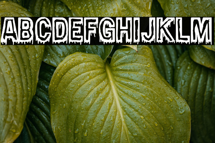 Nasty Tuesdays Example 2