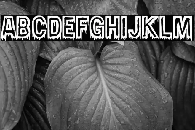 Nasty Tuesdays Font examples