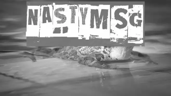 NastyMSG Font examples