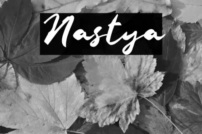 Nastya Example 1