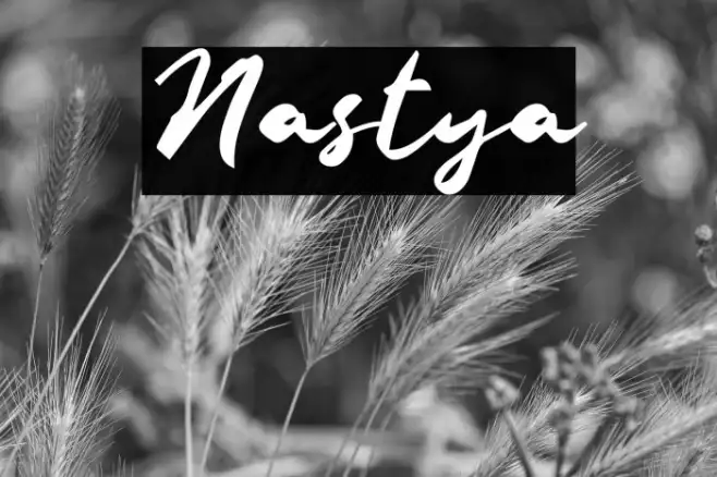 Nastya Example 2
