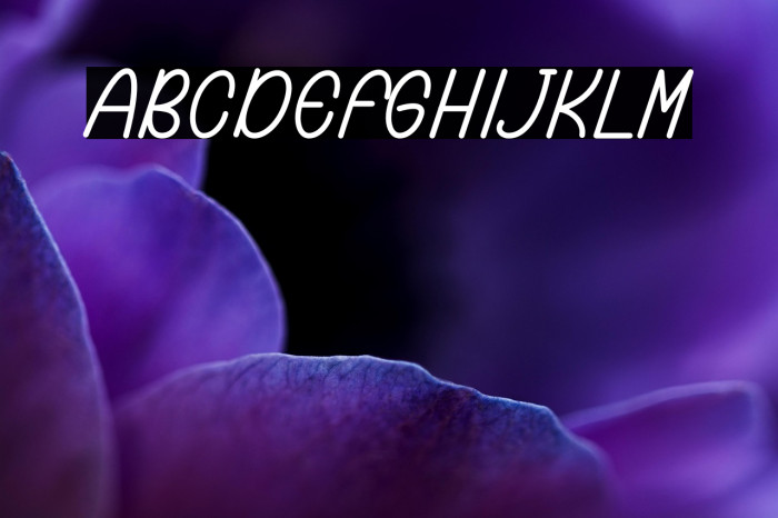 Natadon Demo Example 3