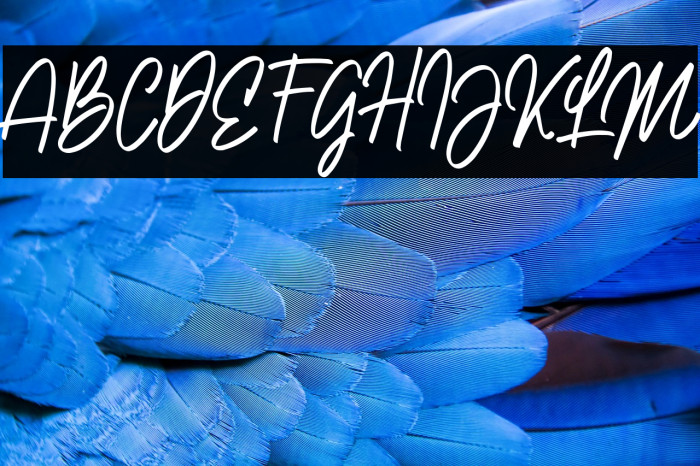 NataliaRosalineDemo Example 2