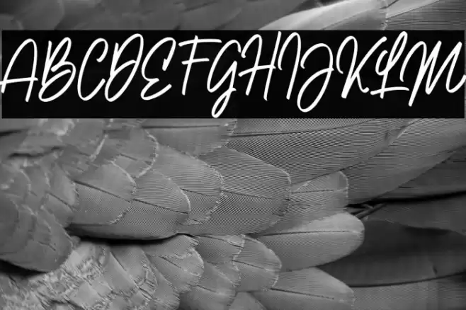 NataliaRosalineDemo Font examples