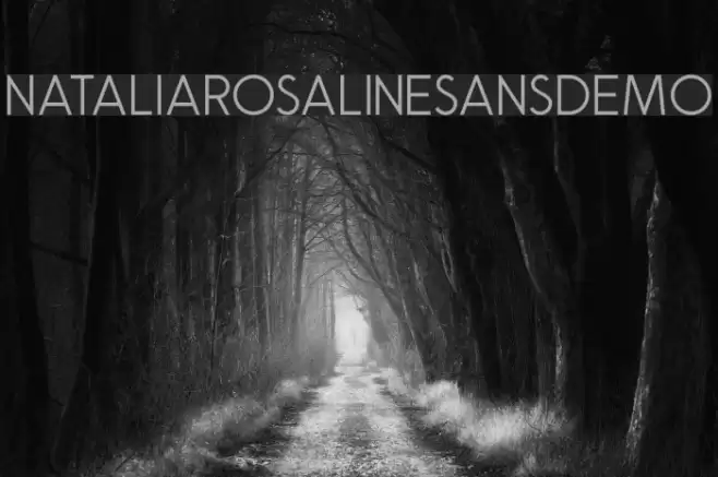 NataliaRosalineSansDemo Font examples