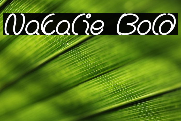 Natalie Bold Example 2