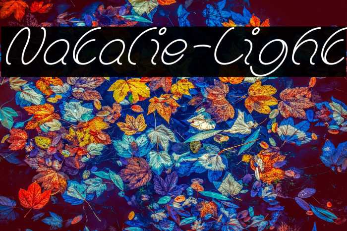 Natalie-Light Example 2