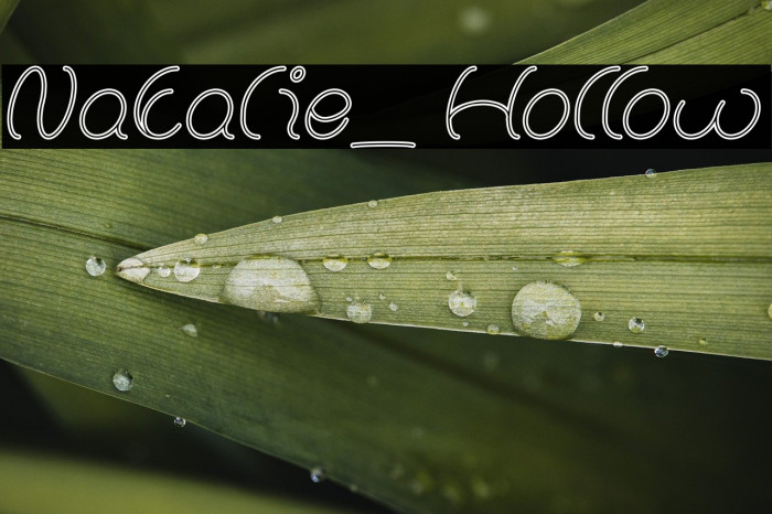Natalie_Hollow Example 1