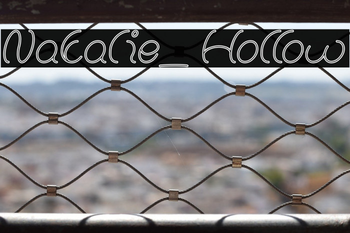 Natalie_Hollow Example 2