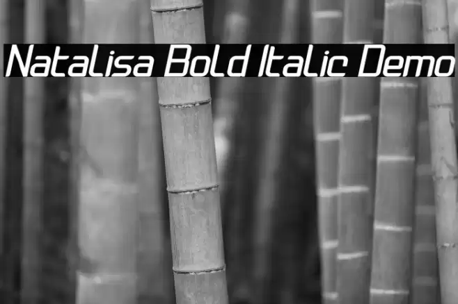 Natalisa Bold Italic Demo Font examples