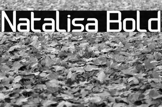 Natalisa Bold Example 1