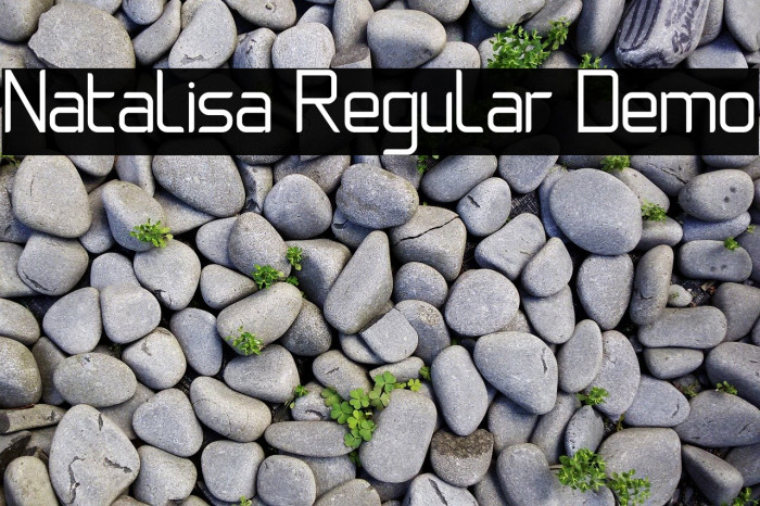 Natalisa Regular Demo Font examples