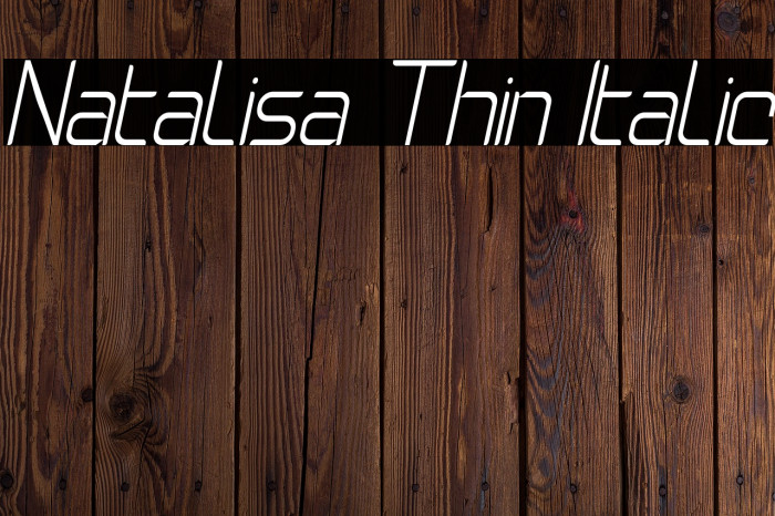 Natalisa Thin Italic Example 1