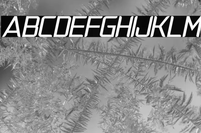 NatalisaBoldItalic Font examples