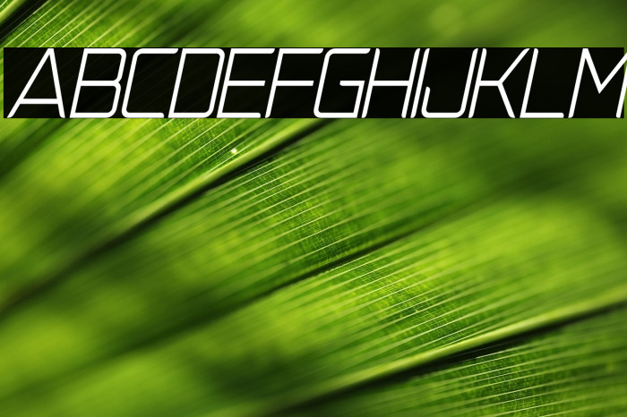 NatalisaLightItalicDemo-LightItalic Example 3