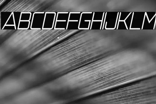 NatalisaLightItalicDemo-LightItalic Font examples