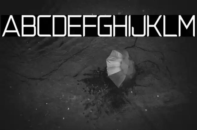 NatalisaRegularDemo Font examples