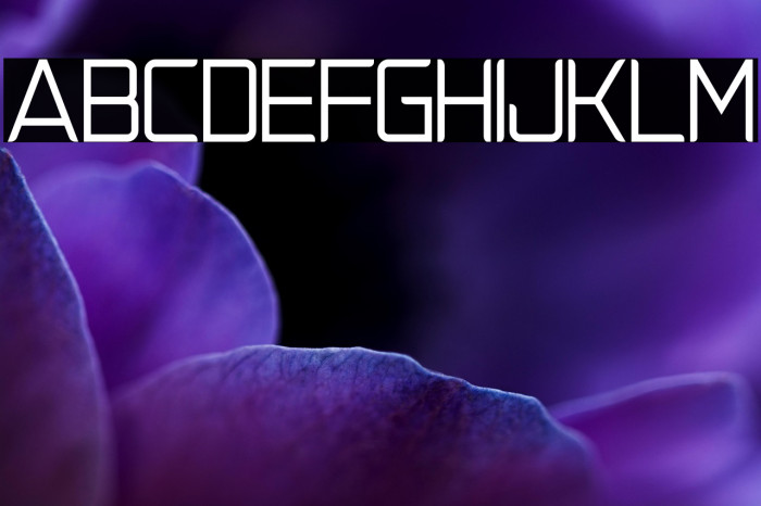 NatalisaRegularDemo Example 3