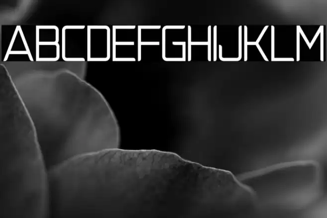 NatalisaRegularDemo Font examples