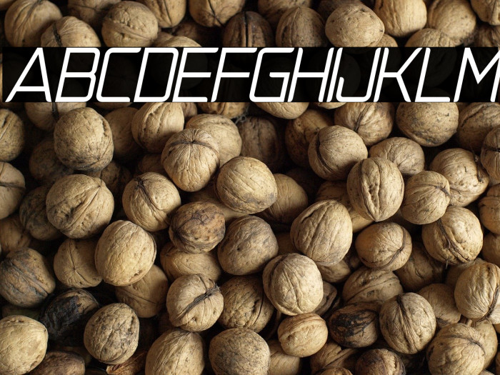 NatalisaRegularItalicDemo-RegularItalic Example 2