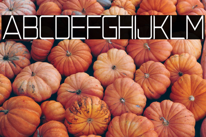 NatalisaThin Example 1