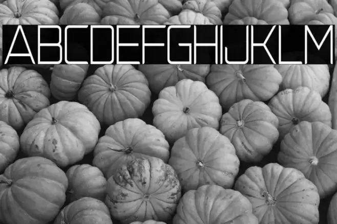 NatalisaThin Font examples