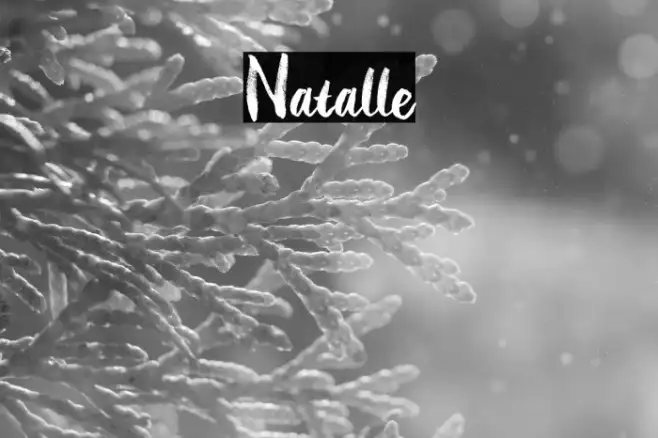 Natalle Example 2