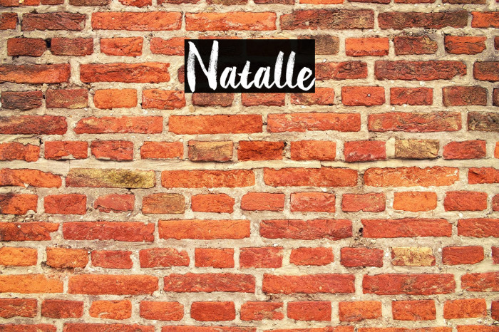 Natalle Example 3