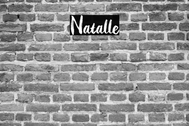 Natalle Example 3