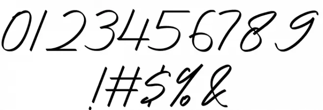 Natasha Amelia Font OTHER CHARS