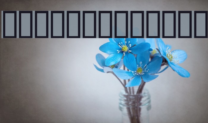 Natasha Schriftart examples