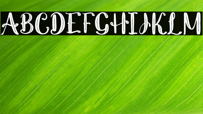 Nathalia Regular Example 1