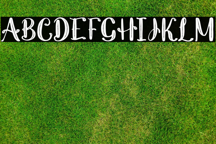 Nathalia Regular Example 3