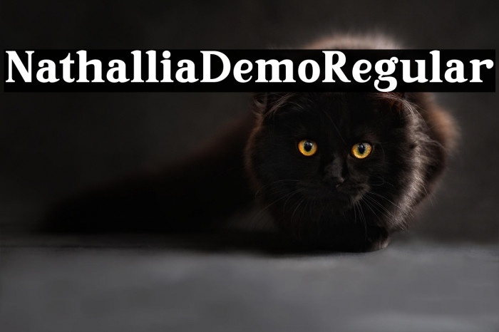 NathalliaDemo-Regular Example 1