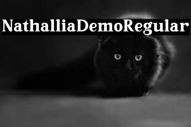 NathalliaDemo-Regular Font examples