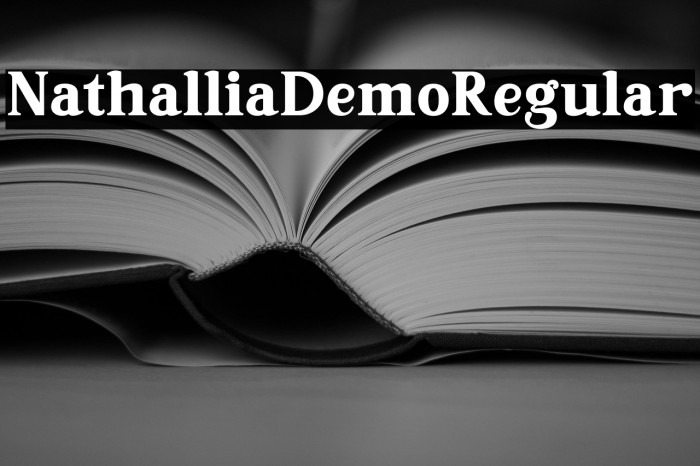 NathalliaDemo-Regular Example 3