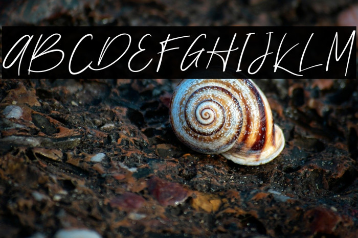 Nathallie demo Regular Example 1