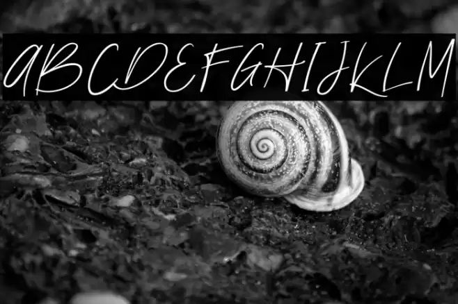 Nathallie demo Regular Font examples