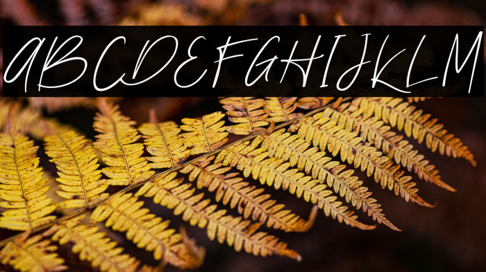 Nathallie demo Regular Example 2