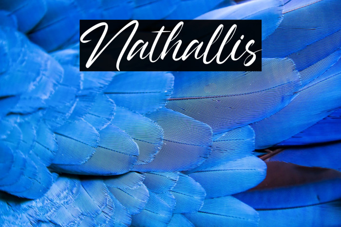 Nathallis Example 1