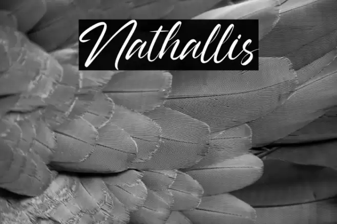 Nathallis Font examples